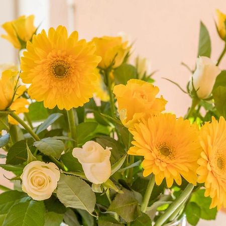Ferienhof Sauter Lindau Neukirch  Luaran gambar